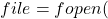 file = fopen(